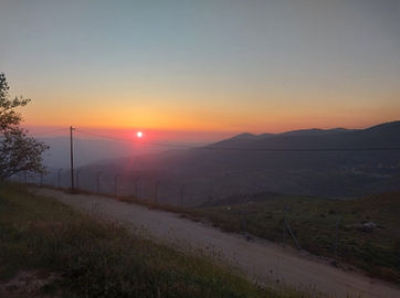 56b082_ed8e2132599149459eddcac01edd866b~mv2